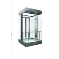 Chinese Supplier Stainless Steel Plate Mirror Etched SS 800kg 2-6 Floor Outdoor Passenger Elevator for Villa Sightseeing1