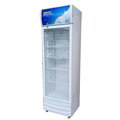 Vertical Commercial Fridge Freezer with Glass Door for Beer, Juice, and Soft Drinks1