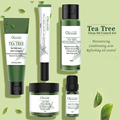 Korean Natural Vegan Organic Green Skincare Kit with Anti-Acne Cream and Tea Tree1