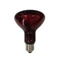 Infrared Therapy Lamp Red Light R95 Infrared Heating Lamp for Physical Therapy1