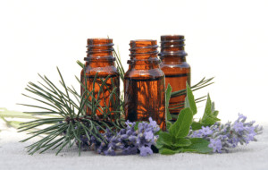 Three small brown bottles surrounded by purple flowers and leaves. 