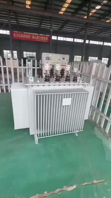 S13-M-2500-10Fully Sealed Distribution Transformer3