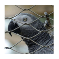 Hot Sale Bird Aviary Zoo Chain Net Stainless Steel Wire Rope Mesh1