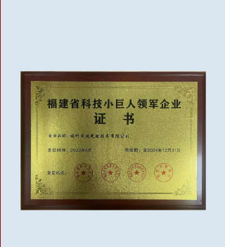 Fujian High-tech Little Giant Leading Enterprise