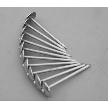 List of Top 10 Galvanized Roofing Nails Brands Popular in European and American Countries