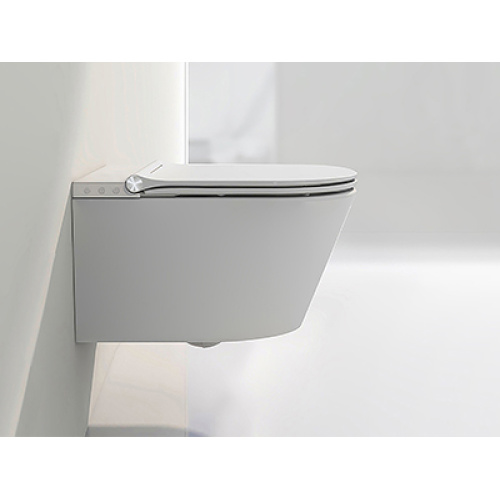 How To Choose A Wall Hung Smart Toilet