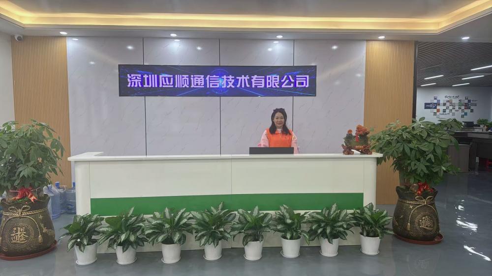 Shenzhen Company - Figure 2
