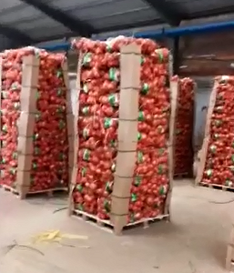 FRESH ONIONS JINING FUYUAN FRUITS AND VEGETABLES CO ,LTD