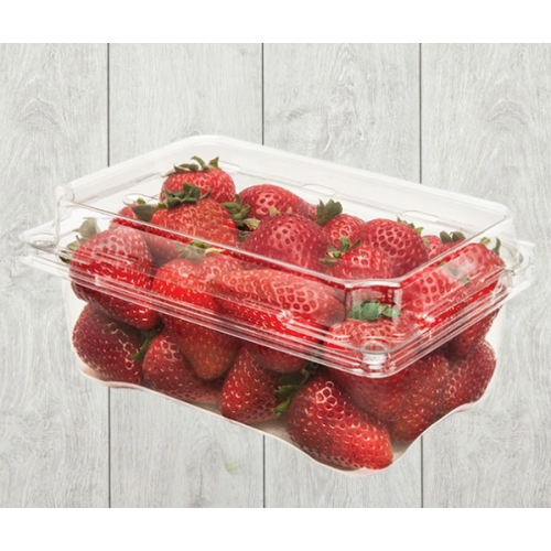 What are the benefits of Fruit Clamshell boxes?