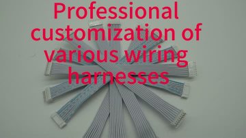JST XH2.54 Ribbon Cable Harness