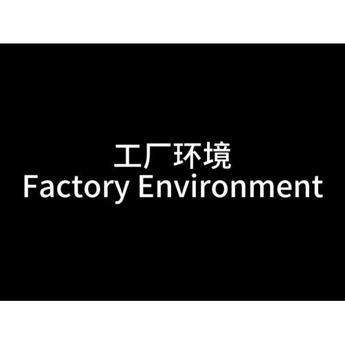 Introducción de la empresa