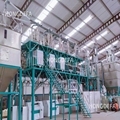 Latest Maize Flour Machine for Fufu, Ugali, and Nshima in Africa1