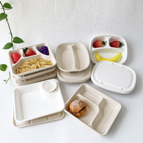 Newly developed bagasse food container