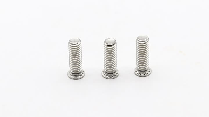 Riveted Screw Stainless Steel
