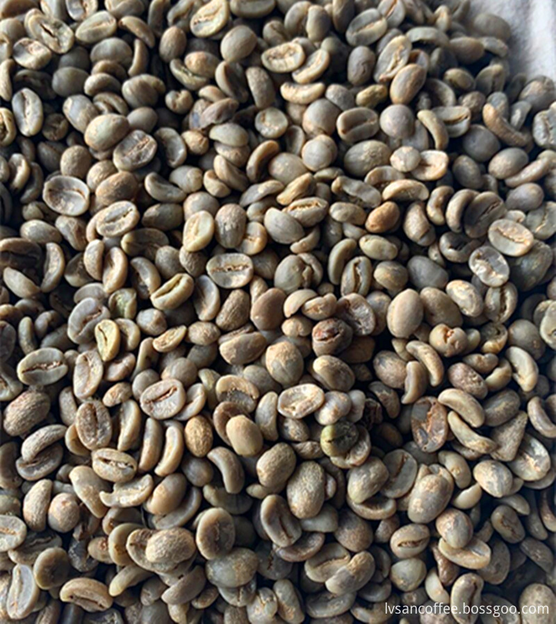 Natural Green Coffee Bean Extract 