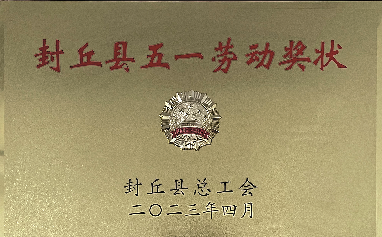 Fengqiu County May Day Labor Award