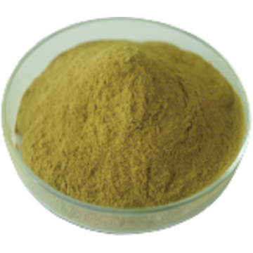 The Feature of Pure Total Chlorogenic Acid Green Coffee Bean Extract