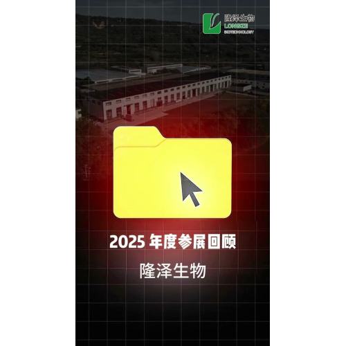 Review of the 2025 Annual Exhibition