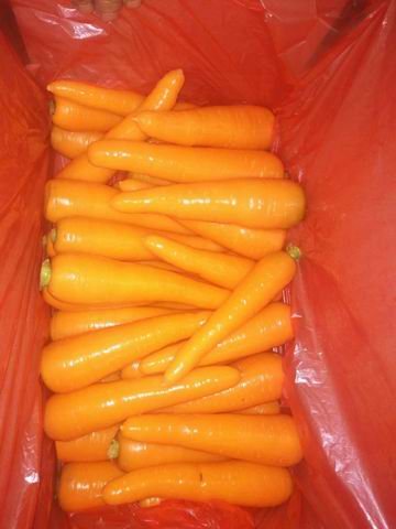 Fresh Carrot 150g-200g 