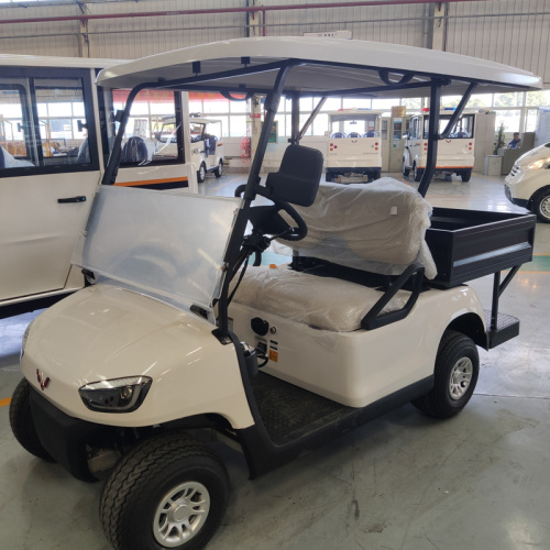 A brief analysis of Golf Cart maintenance
