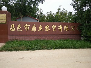 Weifang Dingli Food Co. Ltd.