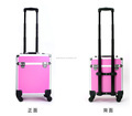 Beauty Trolley Vanity Case Make up Cosmetic Box Bag Hairdressing Nail Salon(XY-916)1