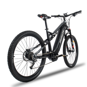 List of Top 10 Mountain Electric Bike Brands Popular in European and American Countries