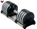 Custom Adjustable Dumbbells: Incremental Weight Sets in 40KG and 43KG1