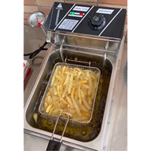 Api Prancis dari Electric Deep Fryer