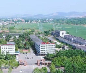 Company Profile
