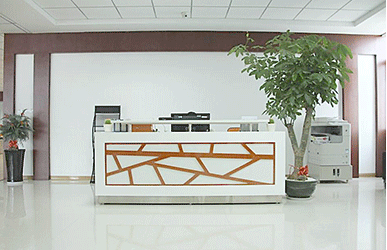 Dongguan Hongxin Industrial Co., Ltd