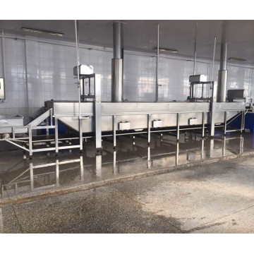 Ten Chinese Steam Blanching Machine Suppliers Popular in European and American Countries