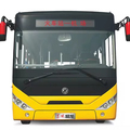 Electric Public Transport Buses: 16-30 Seat City Vehicles with Green, Urban LHD Power for Sale1