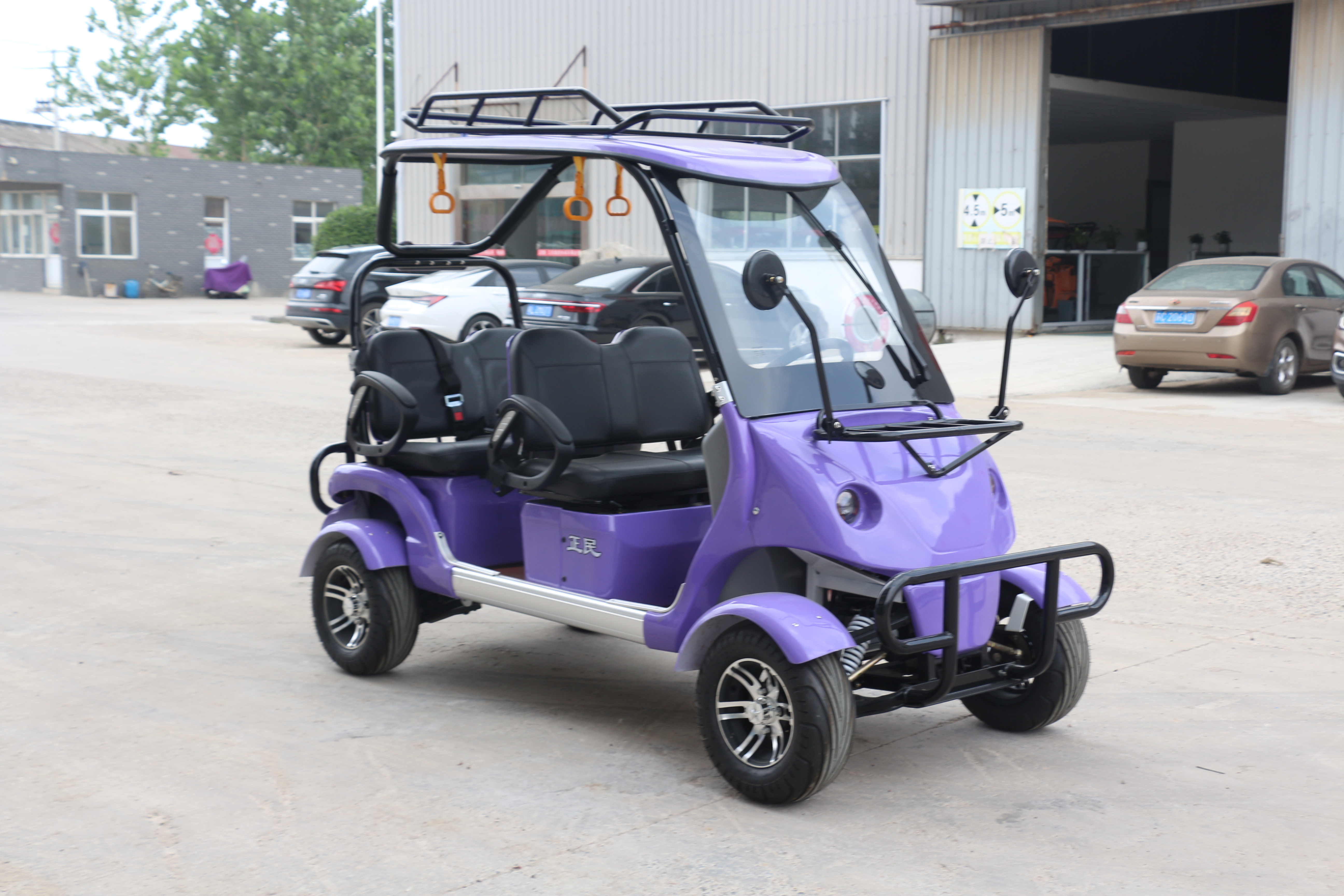 Tricycle de passagers électrique Q8