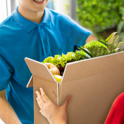 O papel da embalagem na integridade da cadeia de frio