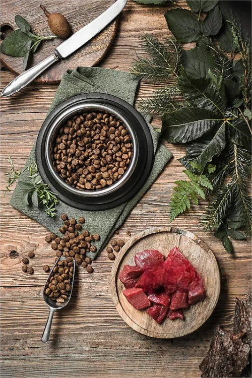 Linyi Zesty Pet Factory Profile