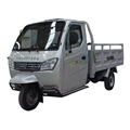 Customized 36V Enclosed Cargo Tricycle for 2 People with Engine Cabin1