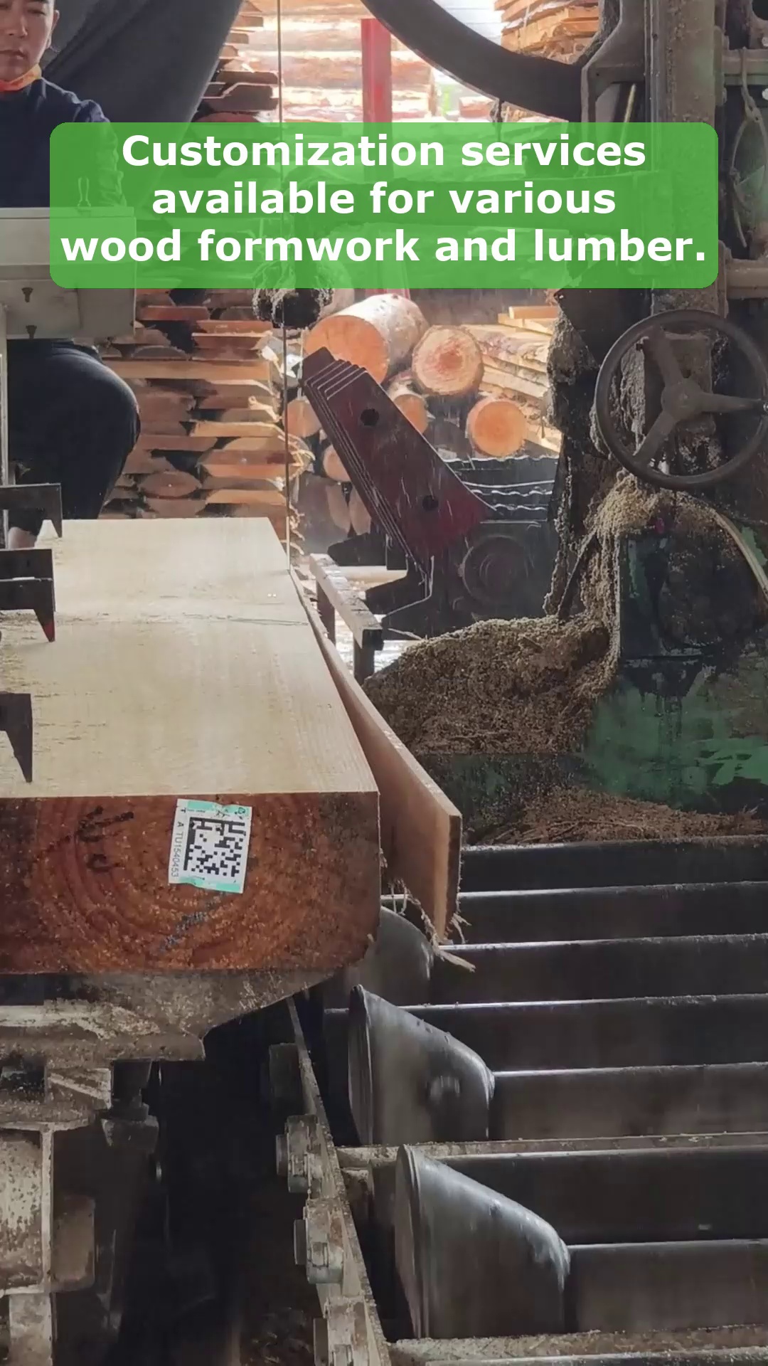 Video 24