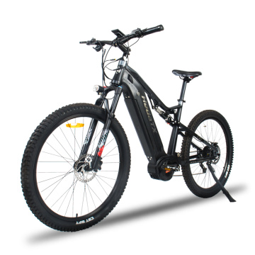 List of Top 10 Electric Mountain Bike Brands Popular in European and American Countries