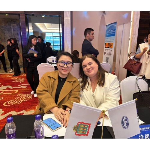 China-Russia Economic and Trade Cooperation Matchmaking Conference