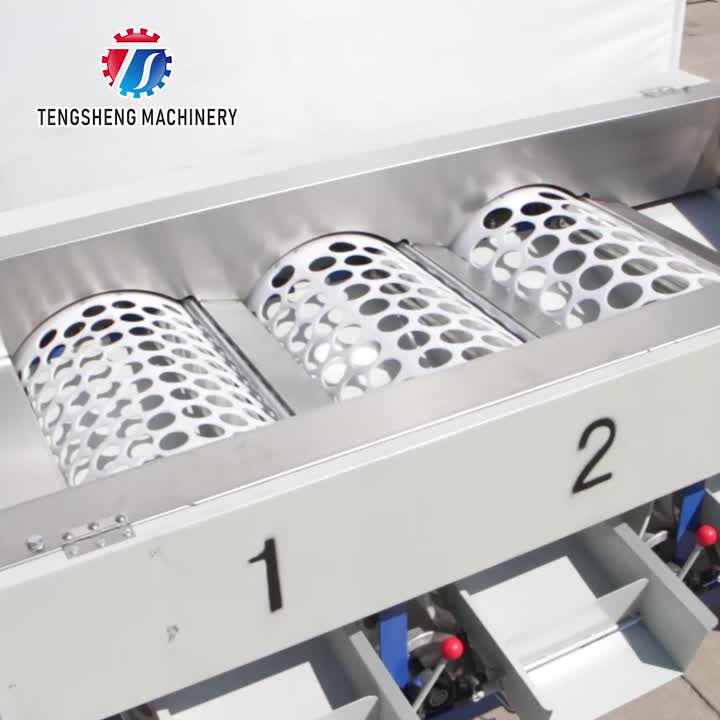 Máquina comercial de dimensionamento de frutas classificadora de maçã TS-FS340