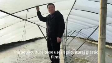 aquaculture base cultivation using plastic film