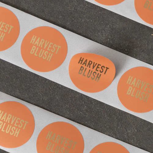 Conocimientos de impresión │ Domine 6 métodos de impresión comunes para elevar sus cajas de embalaje