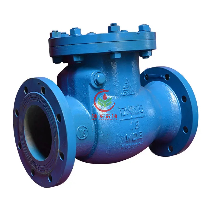 Rotary Check Valve 20 Jpg