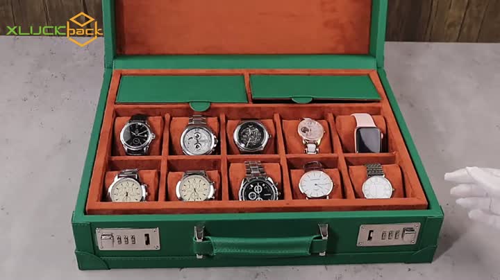 XY-WH71-9 High-End Watch Organizer Fall