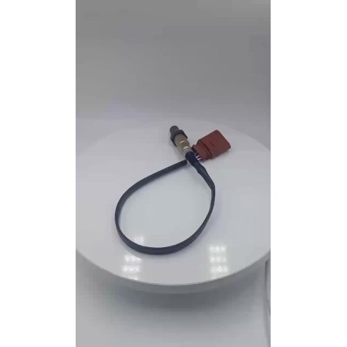 Oxygen Sensor