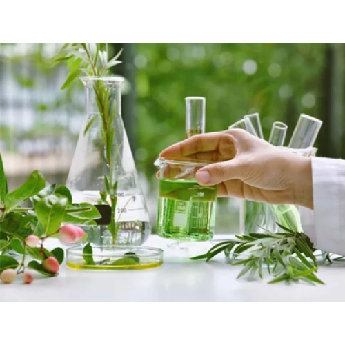 Research and development of plant extract in moisturizing cosmetics.