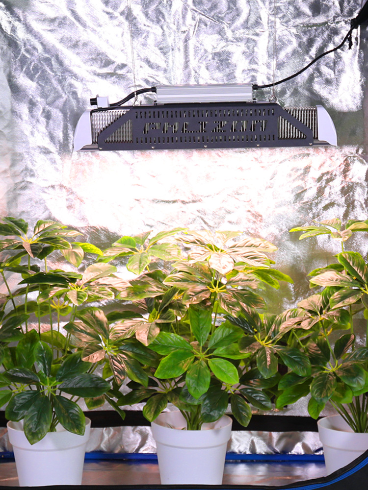 Hydroponic led grow light