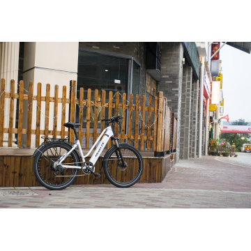 China Top 10 Ebike Kit Potential Enterprises
