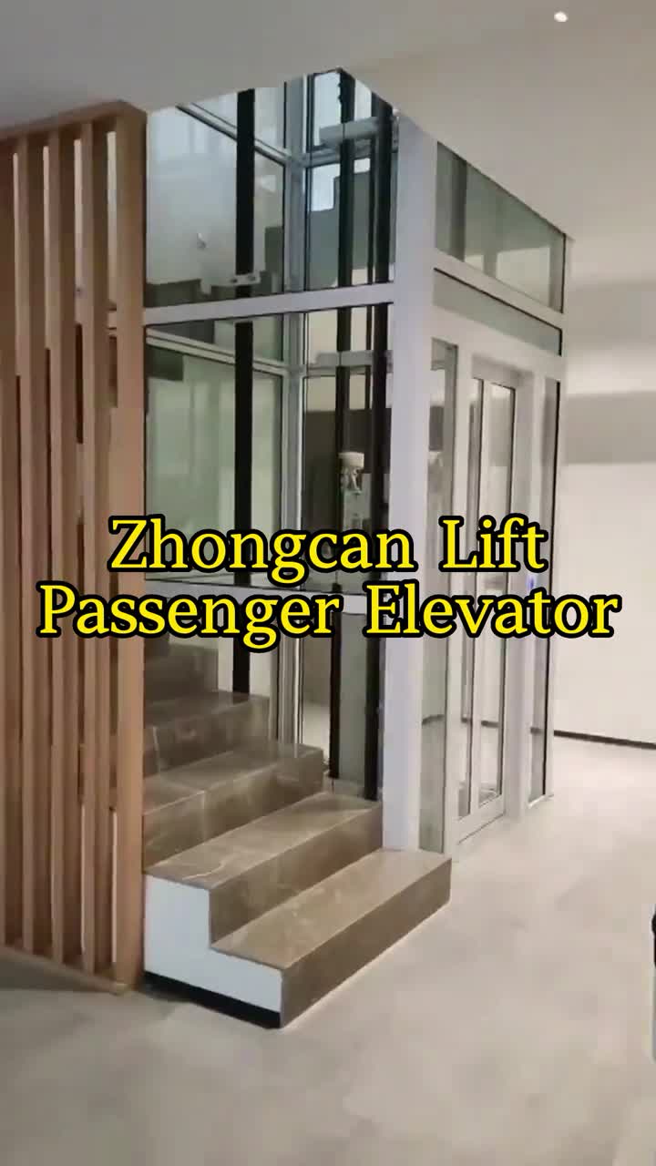 Elevator Lift Passenger